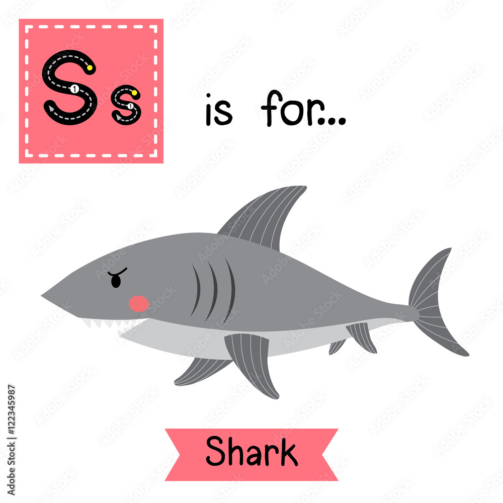 Shark Flashcard Stock Illustrations – 47 Shark Flashcard Stock