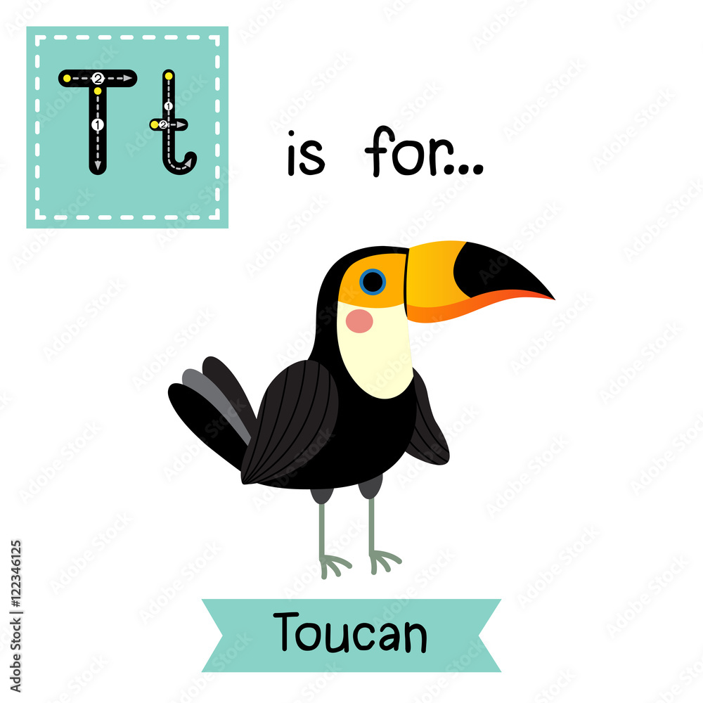 T letter tracing. Standing Toucan bird. Cute children zoo alphabet flash  card. Funny cartoon animal. Kids abc education. Learning English  vocabulary. Vector illustration. Stock Vector | Adobe Stock