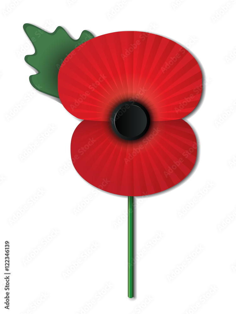 Obraz premium Remembrance Poppy