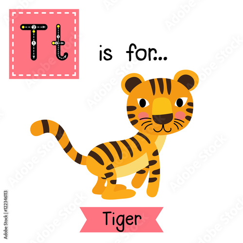 T letter tracing. Jumping Tiger. Cute children zoo alphabet flash card. Funny cartoon animal. Kids abc education. Learning English vocabulary. Vector illustration.