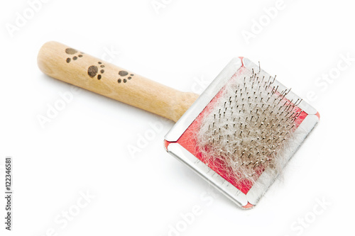 Hair of the cat on the brush  isolated on white background