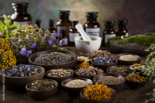 Herbs  berries and flowers with mortar  on wooden table backgrou