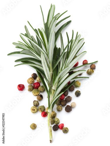rosemary herb spice leaves and peppercorns isolated on white bac