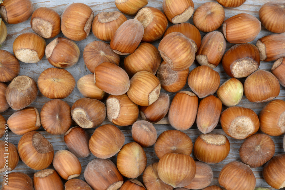 Close up of a lot of hazel chest nuts on a wooden background
Close up of a lot of hazel chest nuts on a wooden background