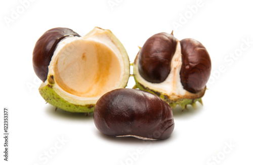 fruit chestnut