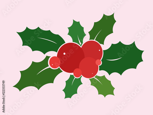Holly berry 