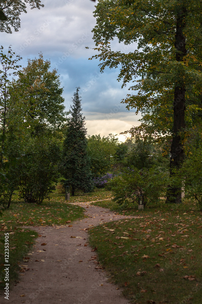 Fototapeta premium Park