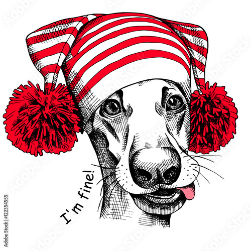 Dog in a red Hat with pom-pom. Vector illustration.