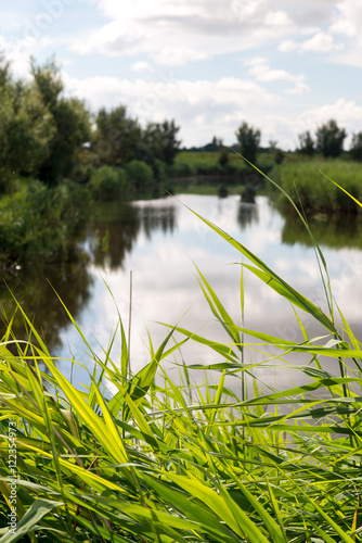 Fototapeta Naklejka Na Ścianę i Meble -  Reflections in river through riparian vegetation