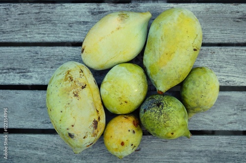 Fruit of the common pawpaw  asimina triloba   also called custard apple