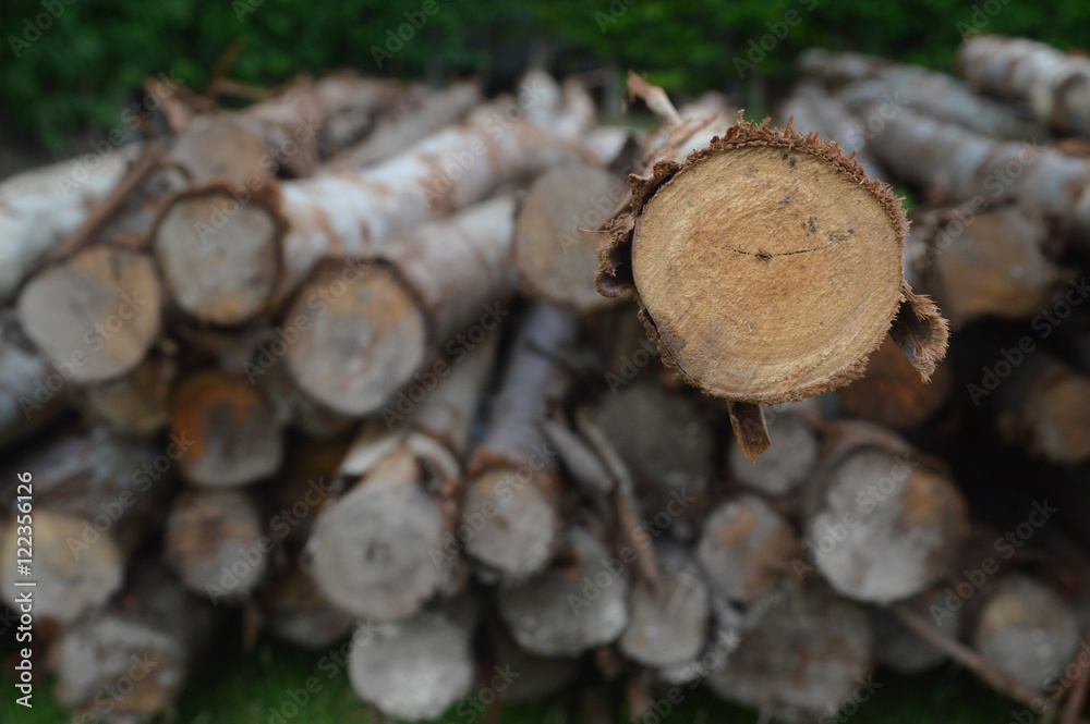 a lot of timber piece of wood