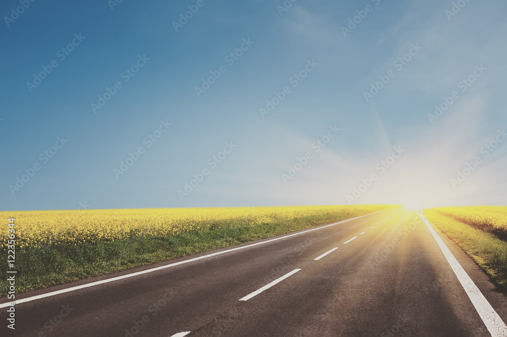 empty asphalt road and floral field of yellow flowers. summer (spring, autumn) background empty asphalt road and floral field of yellow flowers. summer (spring, autumn) background