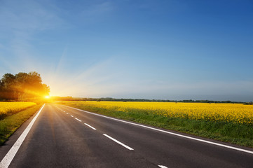 empty asphalt road and floral field of yellow flowers. summer (spring, autumn) background