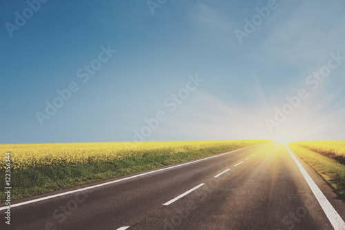 empty asphalt road and floral field of yellow flowers. summer  spring  autumn  background