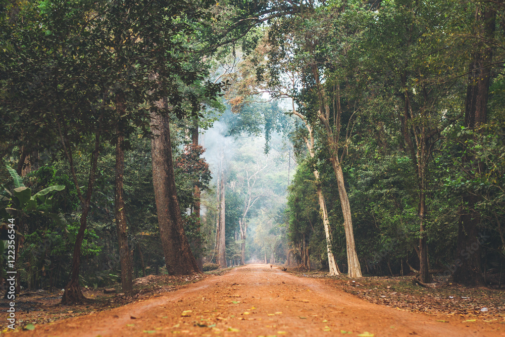 Obraz premium Polną drogę ciągnącą się przez dżunglę Kambodży.