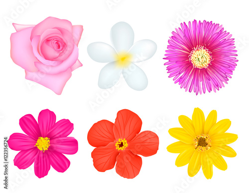 Isolated Colorful Flowers Set