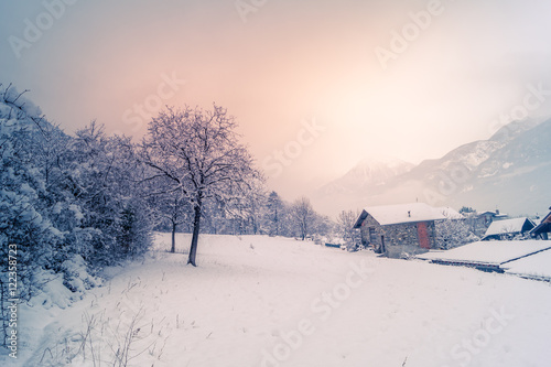 Winter scenery, snowstorm in park © mashiro2004
