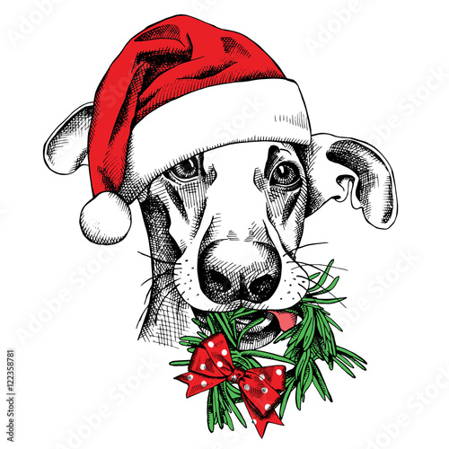 Christmas card. Funny dog portrait in a Santa's hat with needles wreath. Vector illustration.