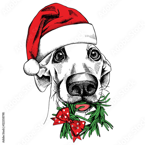 Christmas card. Funny dog portrait in a Santa's hat with needles wreath. Vector illustration.