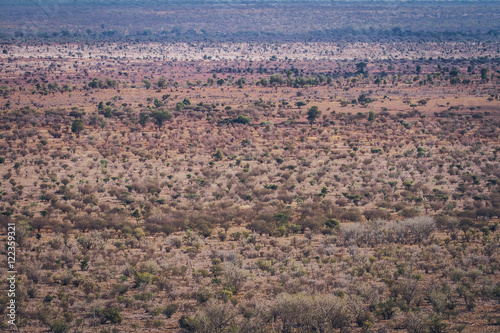 The landscape of Kruger National Park in South Africa