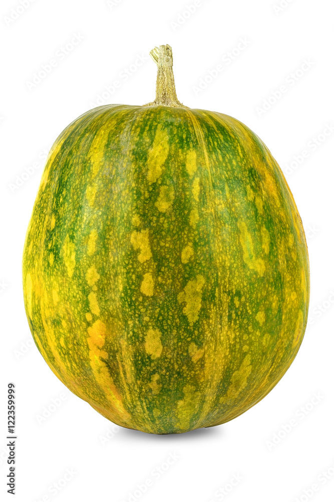 Pumpkin green colors on white background Pumpkin green colors on white background