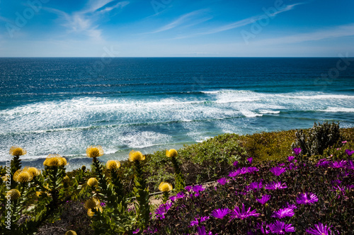 Encinitas Beach photo