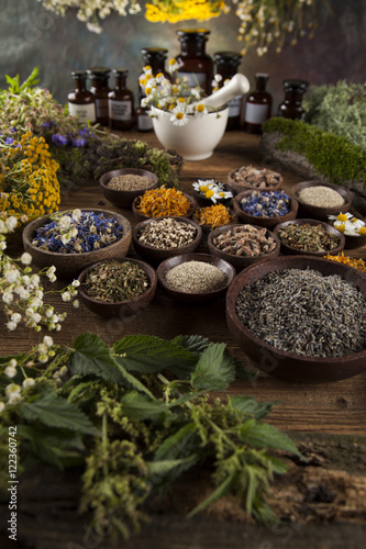 Fresh medicinal  healing herbs on wooden