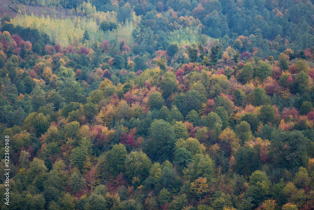 Fototapeta premium Autumn at Churet, Mazandaran, Iran