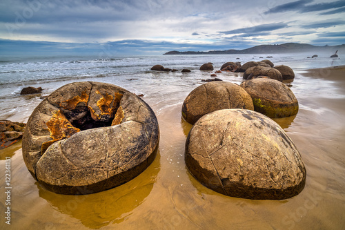 Foto Cracked Moeraki boulder at the beach