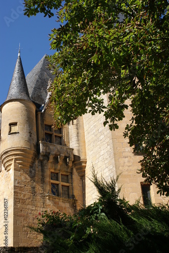 st léon en vezere photo