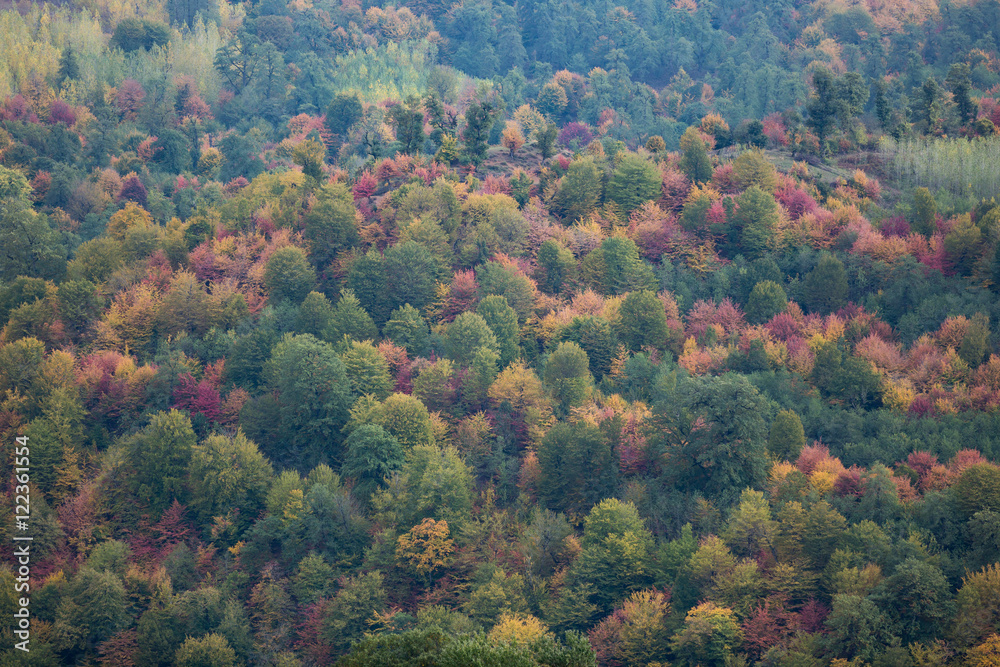 Fototapeta premium Autumn at Churet, Mazandaran, Iran