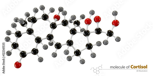 Illustration of Cortisol Molecule isolated white background