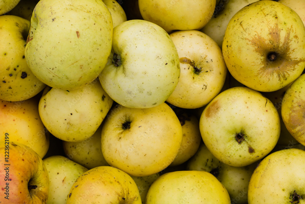bunch of yellow apples background texture bunch of yellow apples background texture