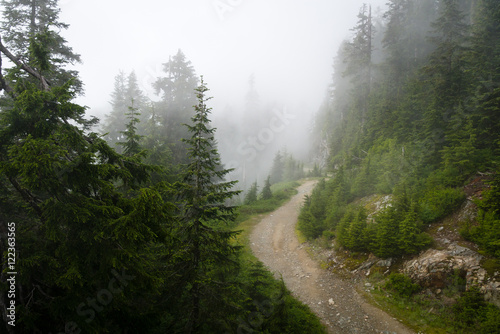 Foggy Mountain Path
