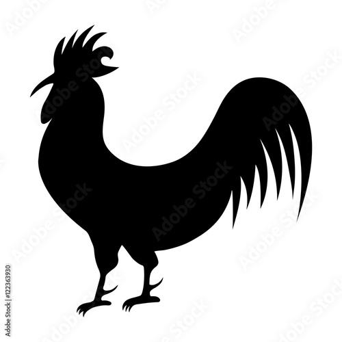 Cock silhouette on a white background