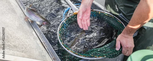 Obraz stawy hodowlane