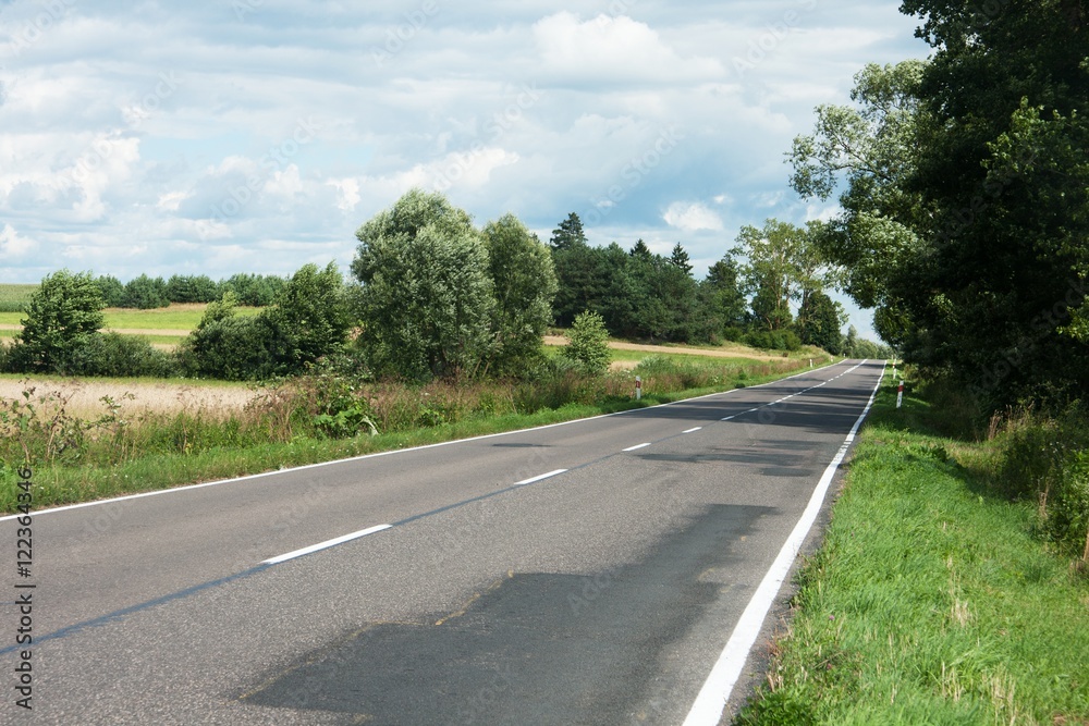 asphalt road and trees