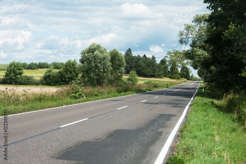 asphalt road and trees