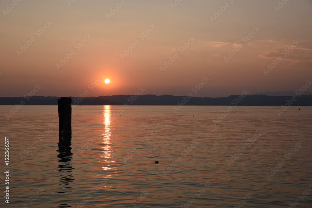 tramonto persone al tramonto guardare il tramonto cigno al tramonto mare lago estate spettacolo natura sole, 