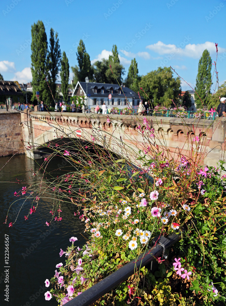 Old bridge with flowers in the foreground - strasbourg - France