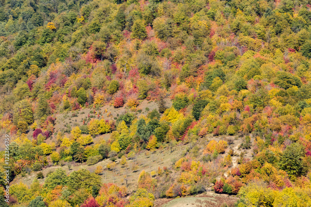 Fototapeta premium Autumn at Churet, Mazandaran, Iran