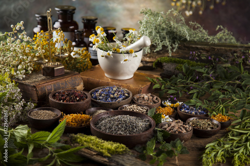 Assorted natural medical herbs and mortar on wooden table backgr