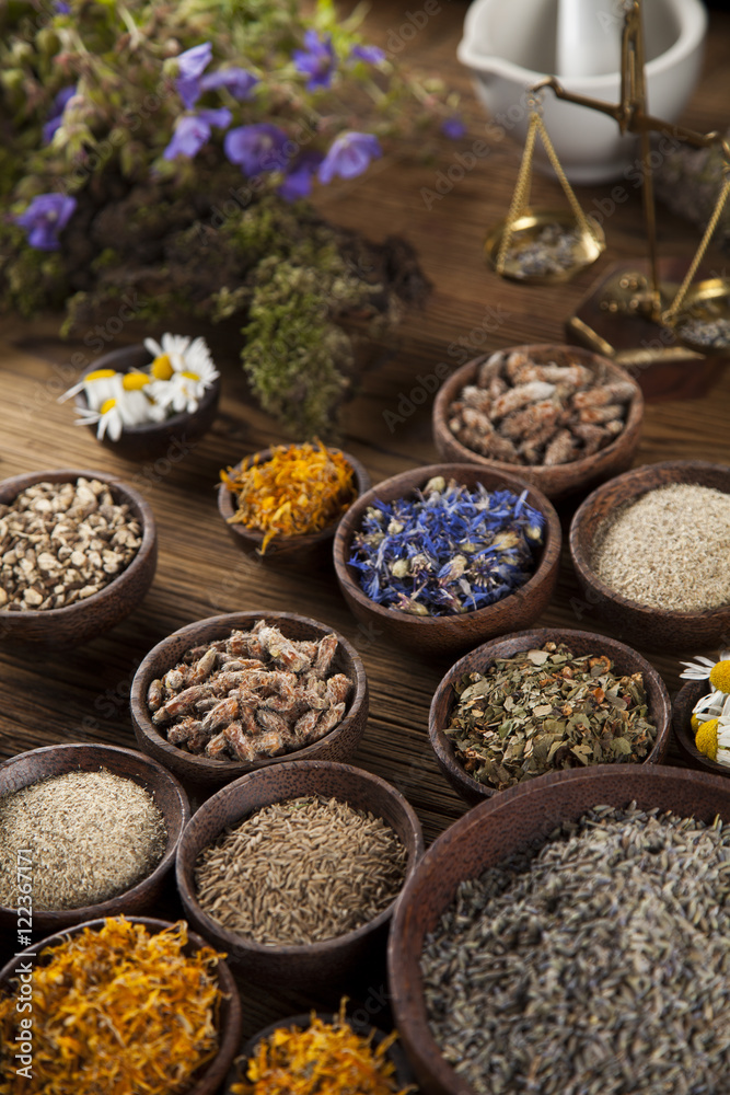 Herbs, berries and flowers with mortar, on wooden table backgrou Herbs, berries and flowers with mortar, on wooden table backgrou