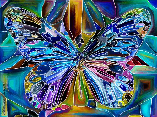 Obraz na płótnie Kolory motyla