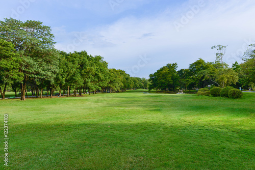 Fototapeta Naklejka Na Ścianę i Meble -  Green park with blue beautiful sky
