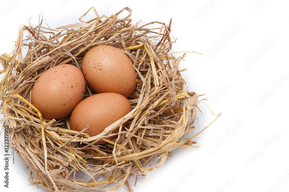 Brown eggs in a nest isolated on a white background Brown eggs in a nest isolated on a white background