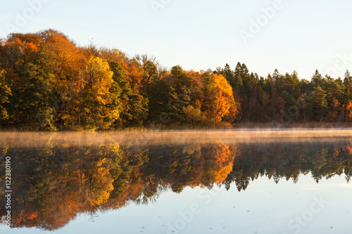 Deciduous forest Colourful Autumn with fog on the lake