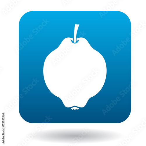 Quince icon in flat style on a white background