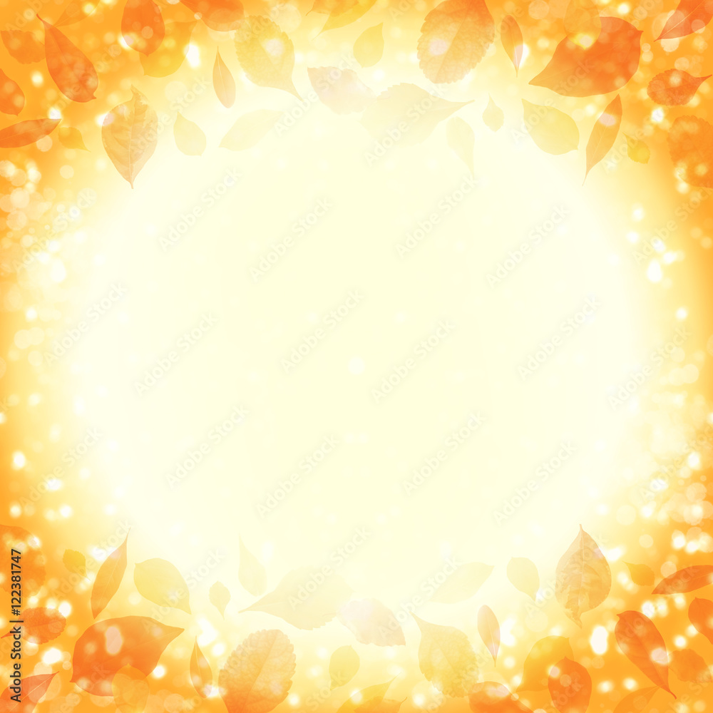 秋のイメージ　輝く落ち葉