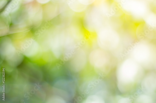 bokeh blur